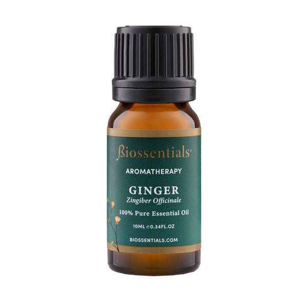 GINGER