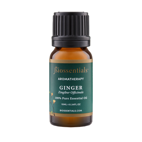 GINGER