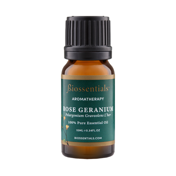 ROSE GERANIUM